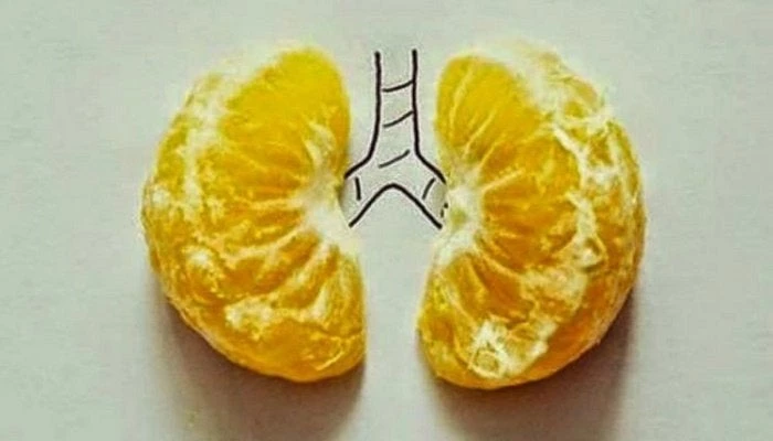 Μανταρίνι: Το μοναδικό φρούτο που αποβάλλει από τον οργανισμό τα βαρέα μέταλλα